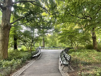 Enlarge photo 44