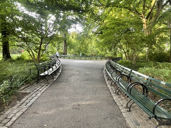 Enlarge photo 45