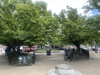 Father Demo Park