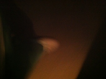 Enlarge photo 138