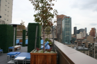 Enlarge photo 63