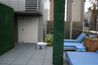 Enlarge photo 65