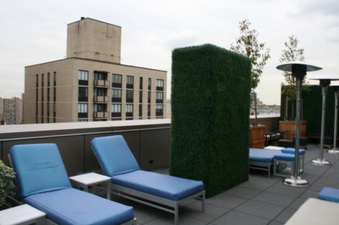 Enlarge photo 67