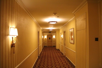 Enlarge photo 82