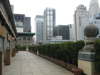Enlarge photo 12