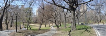 At CPW b/t 86th - 88th Street