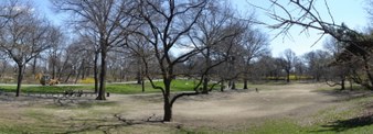 Enlarge photo 10