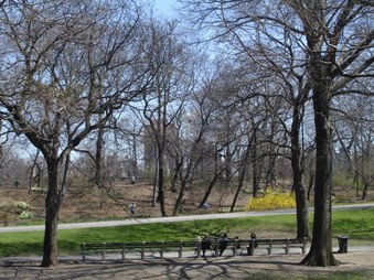 Enlarge photo 11