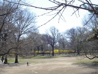 Enlarge photo 14
