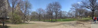 Enlarge photo 16