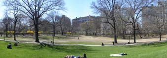 Enlarge photo 8
