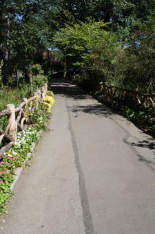 Enlarge photo 4