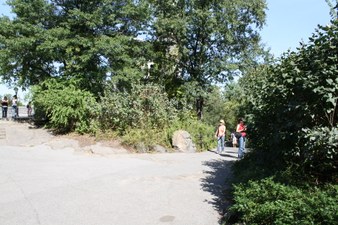 Enlarge photo 29