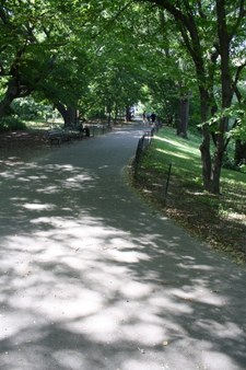 Enlarge photo 35
