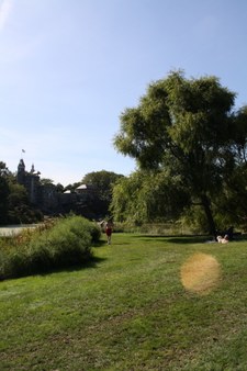 Enlarge photo 38