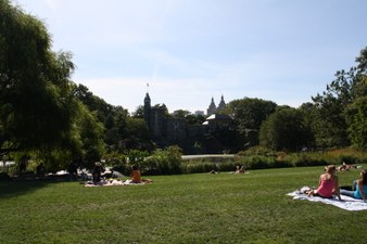 Enlarge photo 39