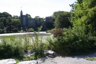 Enlarge photo 41