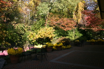 Enlarge photo 58