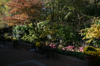 Enlarge photo 59