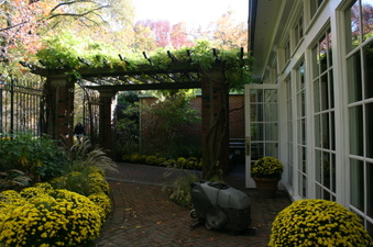 Enlarge photo 61