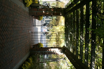 Enlarge photo 65