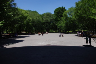 Enlarge photo 11