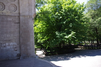 Enlarge photo 17
