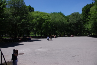 Enlarge photo 28