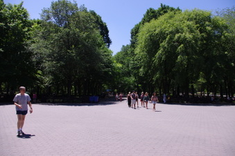 Enlarge photo 46