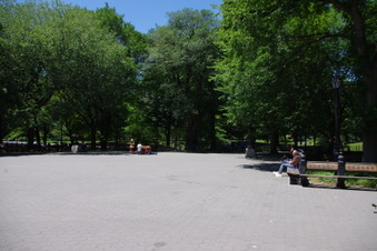 Enlarge photo 47