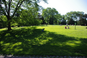 Central Park - Cedar Hill