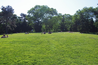 Enlarge photo 4