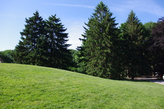 Enlarge photo 7