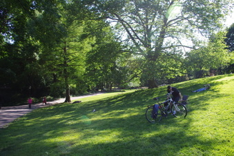 Enlarge photo 8