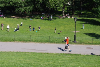 Enlarge photo 10