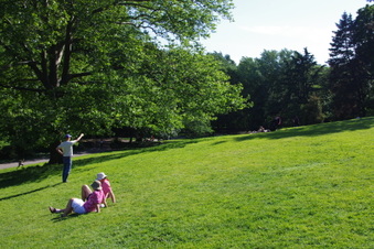 Enlarge photo 11