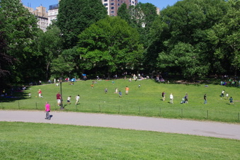 Enlarge photo 12