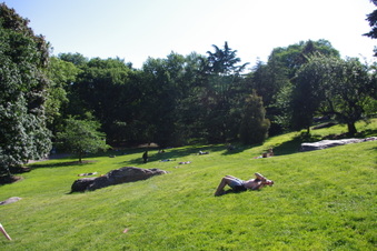 Enlarge photo 13