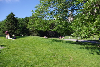 Enlarge photo 14