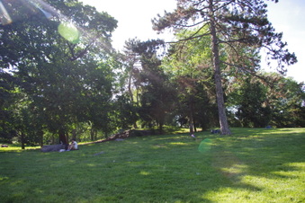 Enlarge photo 15