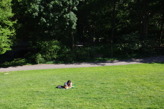 Enlarge photo 16