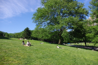 Enlarge photo 19