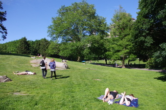Enlarge photo 21