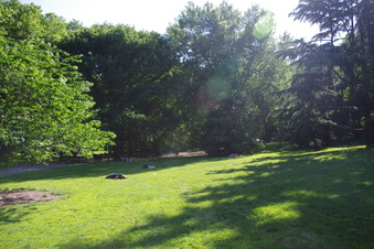 Enlarge photo 22