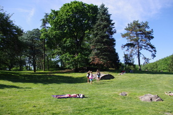 Enlarge photo 23