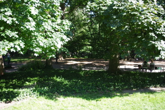 Enlarge photo 24