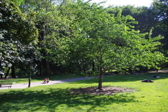 Enlarge photo 25