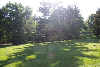 Enlarge photo 26