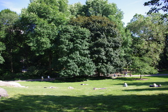 Enlarge photo 27