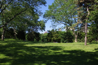 Enlarge photo 28